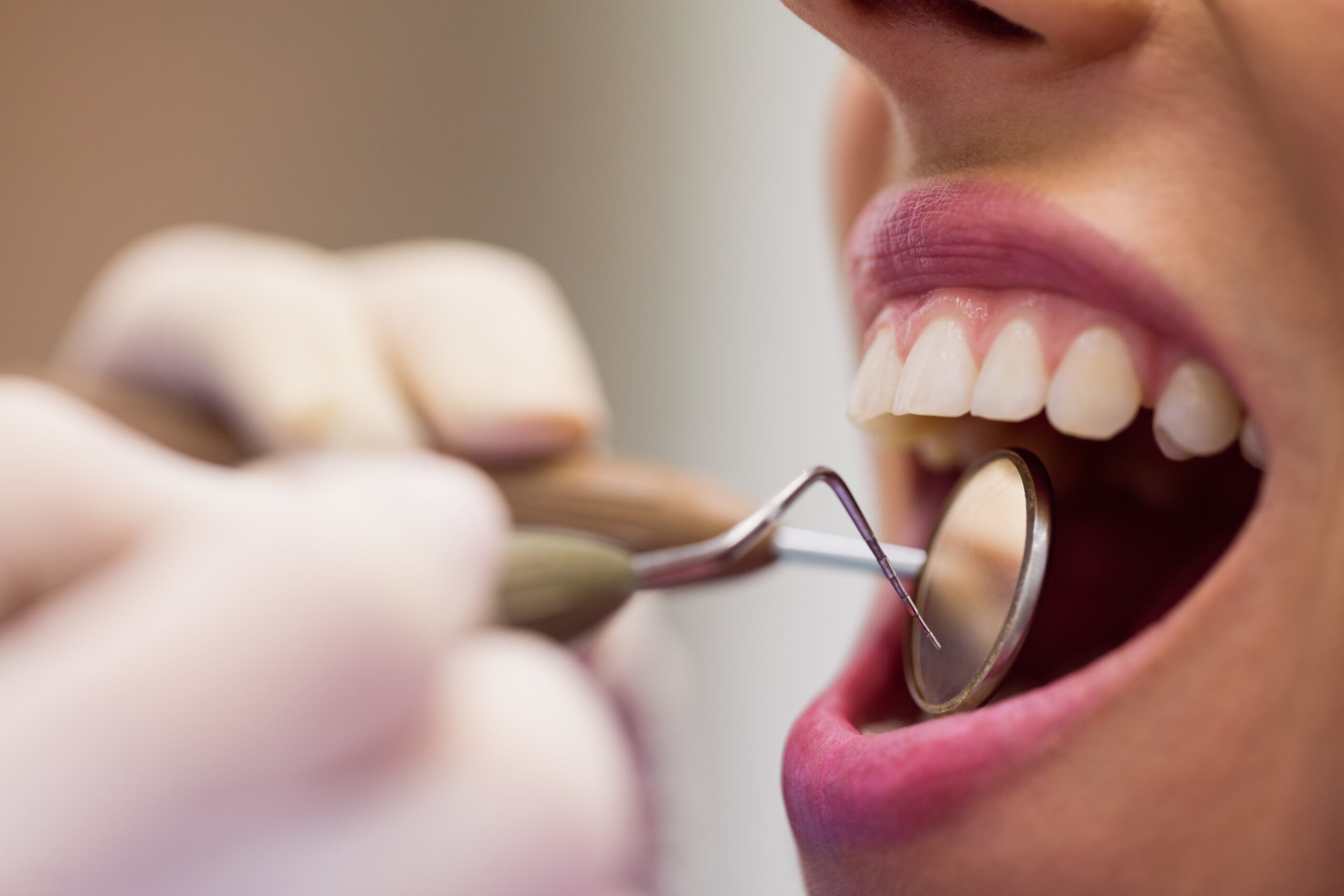 Odontologia